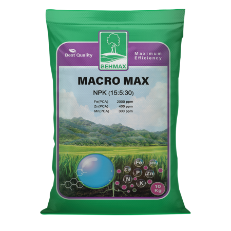 ماکرو ماکس پتاس بالا