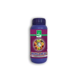 منگنز