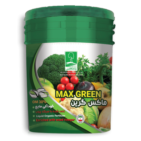 ماکس گرین
